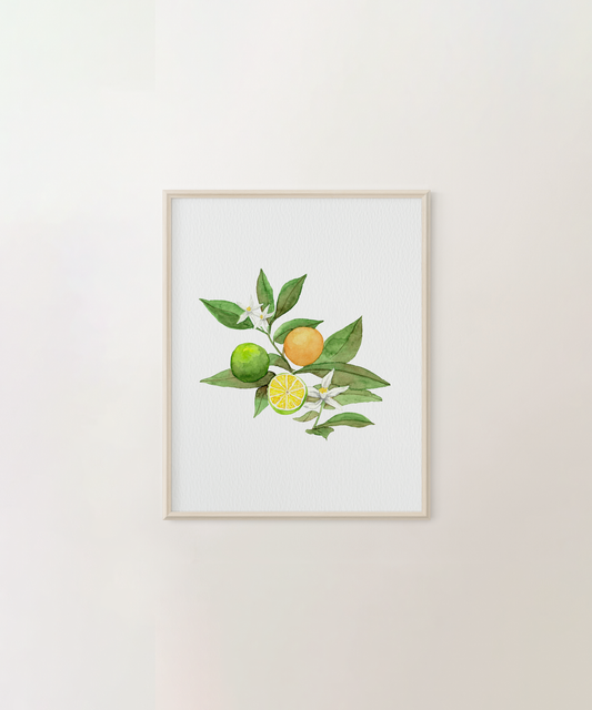 Calamansi Print
